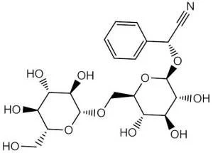 Amygdalin Powder, Bitter Almond Extract Amygdalin Powder, Bitter Almond Extract