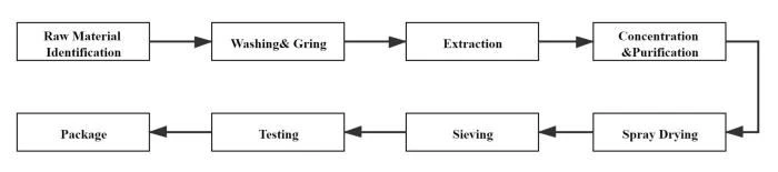 Processing Flow Chart ,Salvia Miltiorrhiza Extract