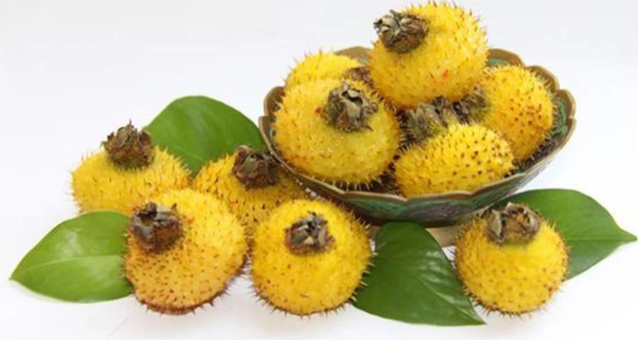 Rosa Roxburghii Fruit Powder