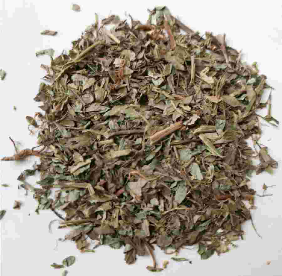 Phyllanthus Extract (3)