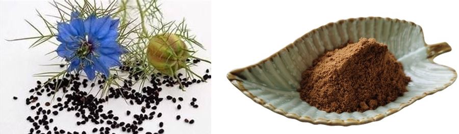 product-900-264 Nigella sativa extract