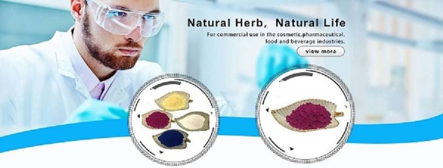 LonierHerb(1)