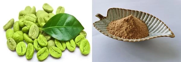 Green Coffee Bean Extract Powder