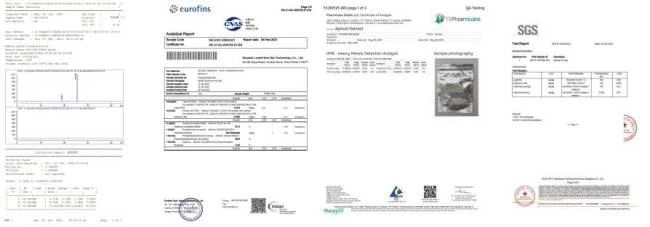 Test Report 2