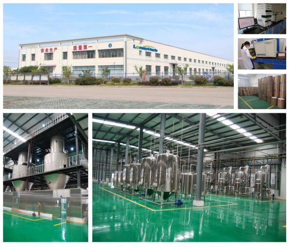 White Kidney Bean Extract, Chinese Factory