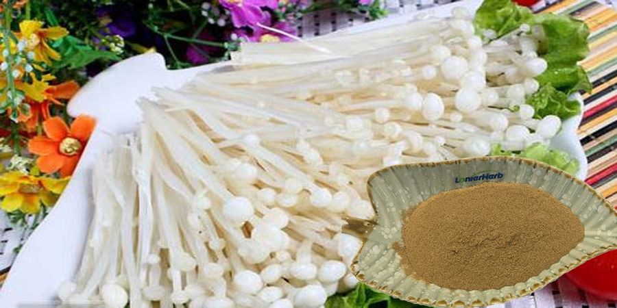 Natural Flammulina Velutipes Extract