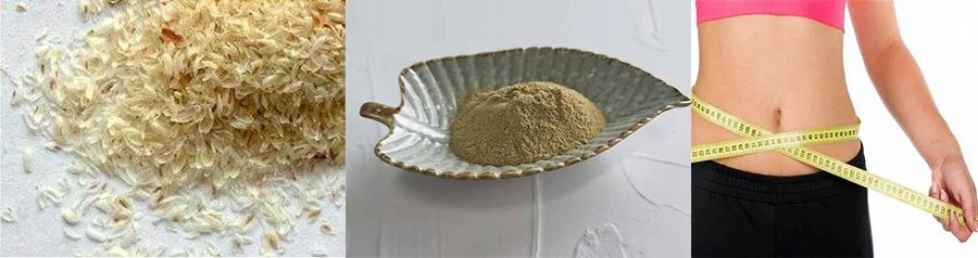 HIgh Quality Psyllium Husk Extract
