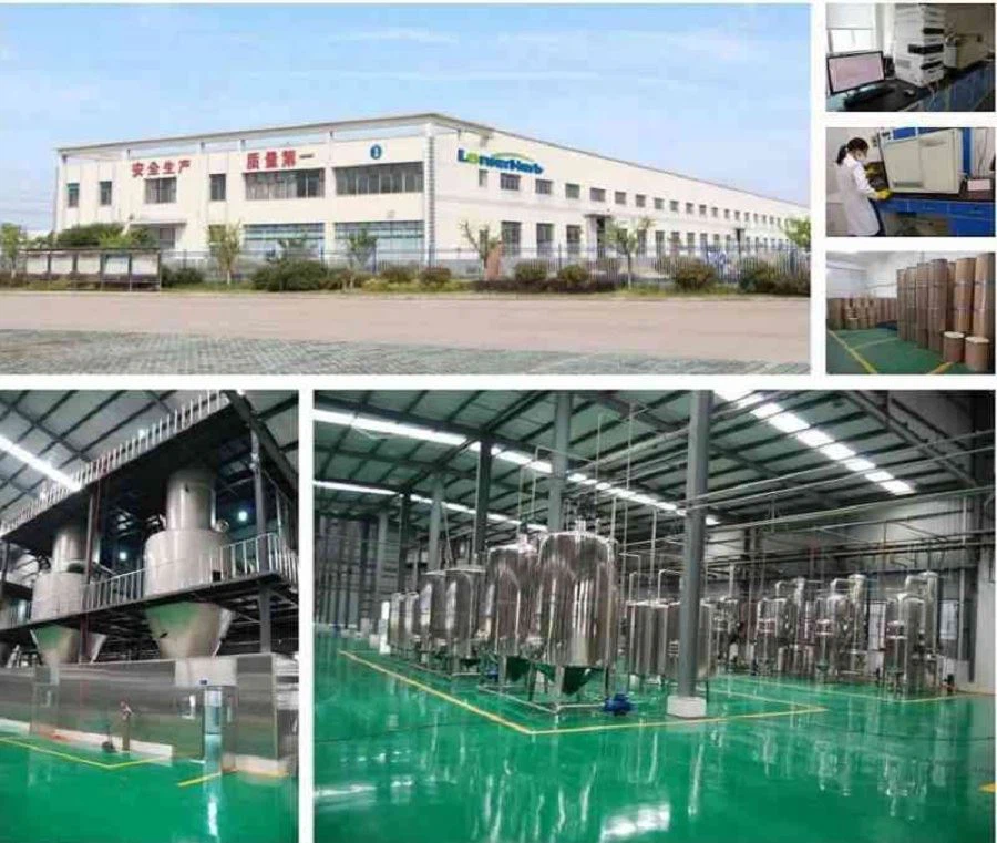 Asparagus extract Factory