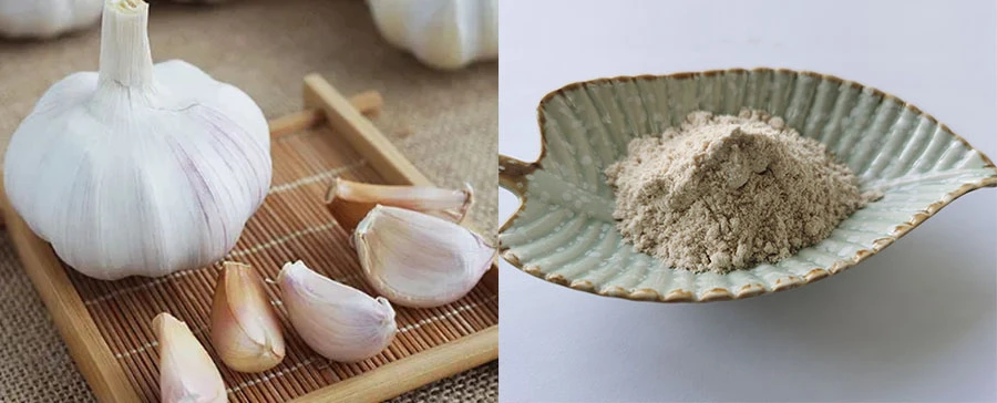 Odourless Garlic Extract