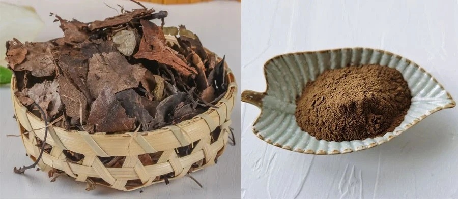 Pyrola Herb Extract Pyrola Herb Extract