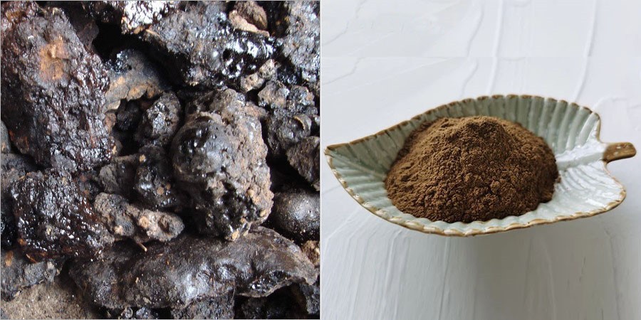 Shilajit Extract Shilajit Extract