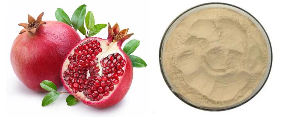 Urolithin A Urolithin A