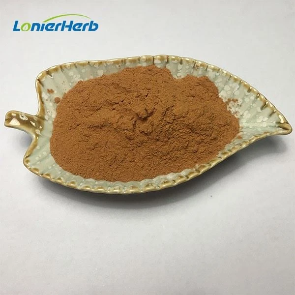 Antrodia Cinnamomea Extract Powder