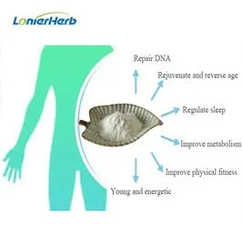 Почему волшебное омолаживающее вещество NMN так популярно?