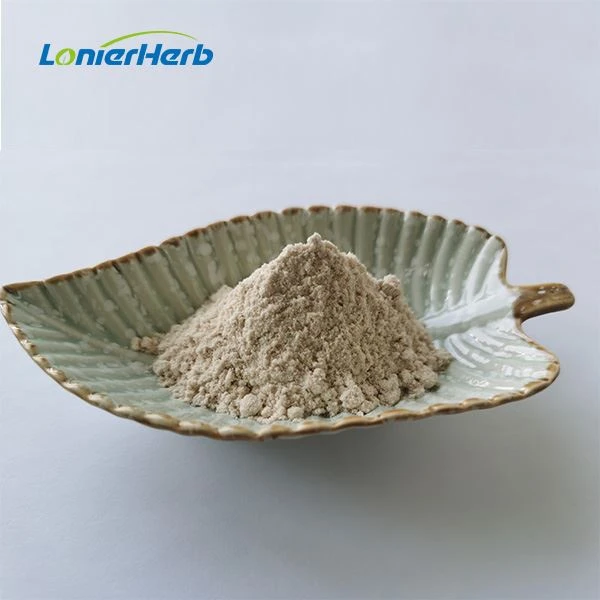 Odourless Garlic Extract Powder