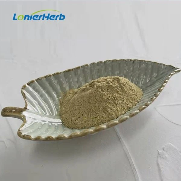 Psyllium Husk Extract Powder