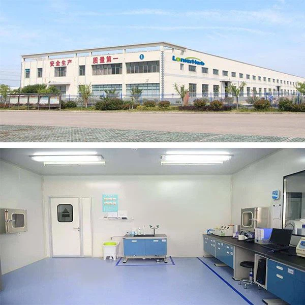 Rosemary Extract Rosmarinic Acid