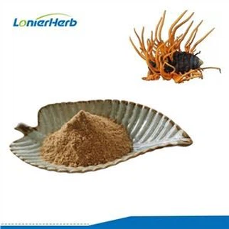 Порошок экстракта Cordyceps Militaris