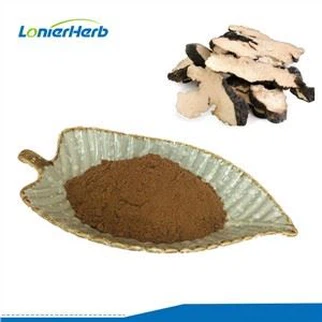 Экстракт полипоруса