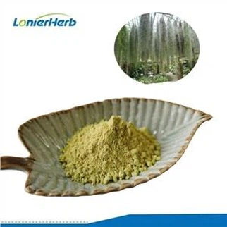 Кислотный порошок Usnea