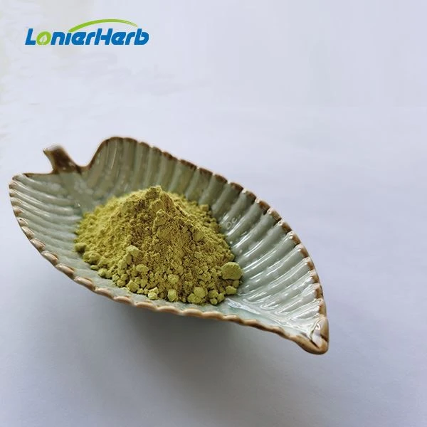Quercetin Dihydrate Powder
