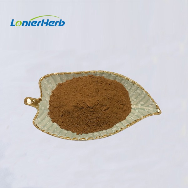 Rosemary Extract Powder Rosemary Extract Powder