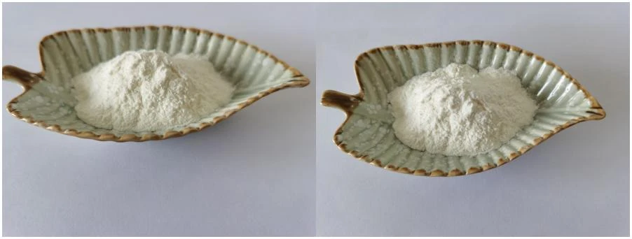 Alpha GPC Powder Alpha GPC Powder
