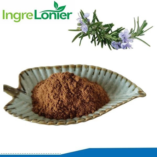 Rosemary Extract Powder Rosemary Extract Powder